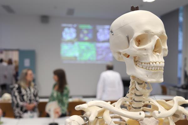 LNdW_Anatomie_Universitaet_Leipzig_Patrick_Heich (1).jpg