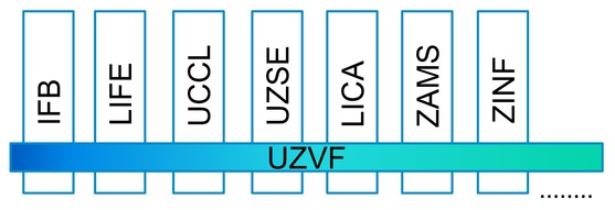 uzvf-matrixstruktur-medizinische-fakultaet.jpg