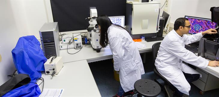 Forscher arbeiten in einem Labor