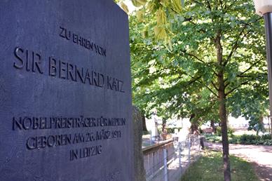 Im Klinikpark hinter der Frauen- und Kindermedizin erinnert heute ein Gedenkstein an den Nobelpreisträger Bernard Katz.