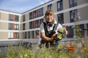 Klimafreundliches Bauen