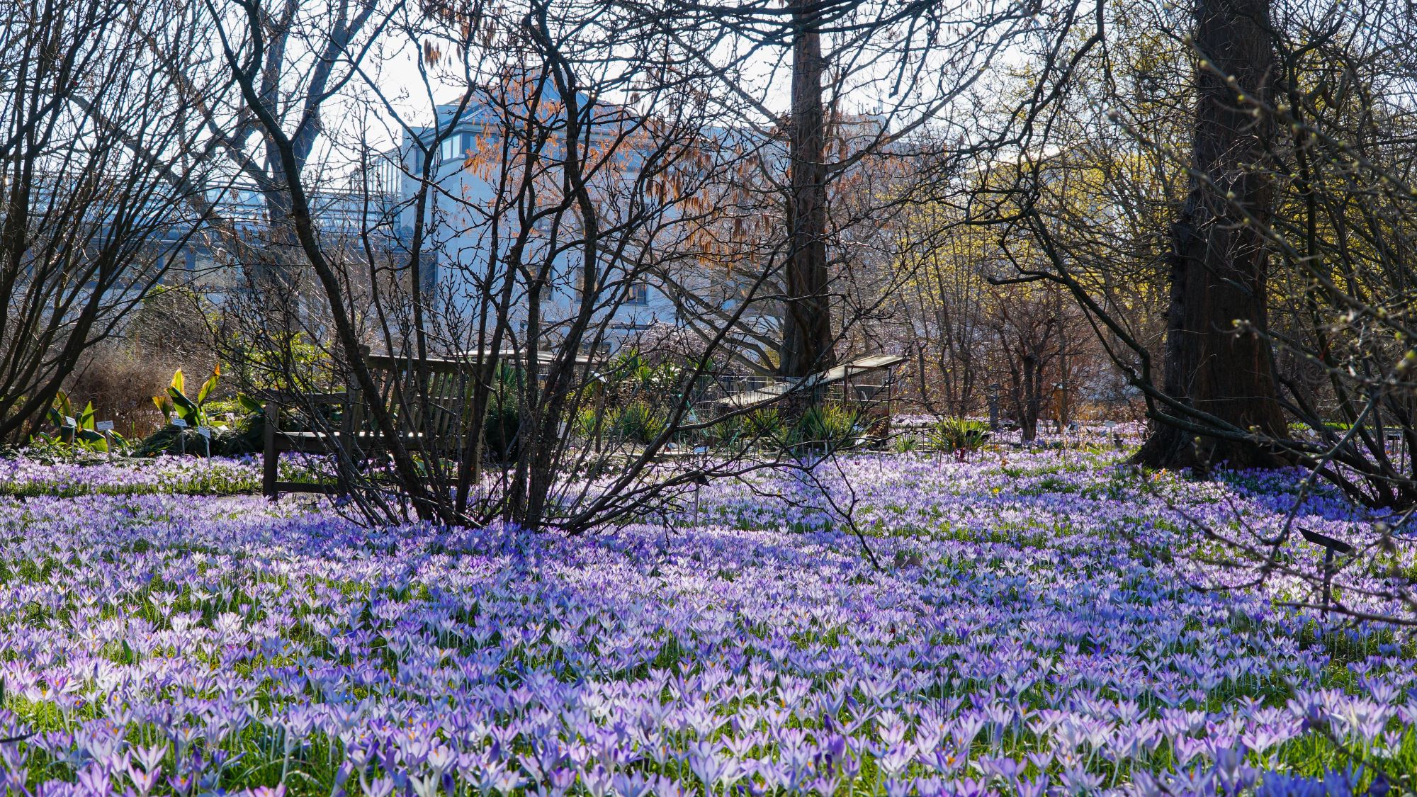 Foto_Save the date_GHA.jpg