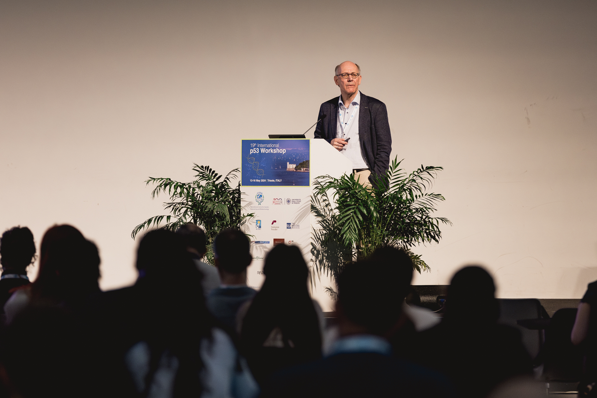 Triest p53 Meeting 2024 KE.jpg