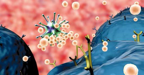 Herausforderung: fortgeschrittenes Basalzellkarzinom am 13.01.2026