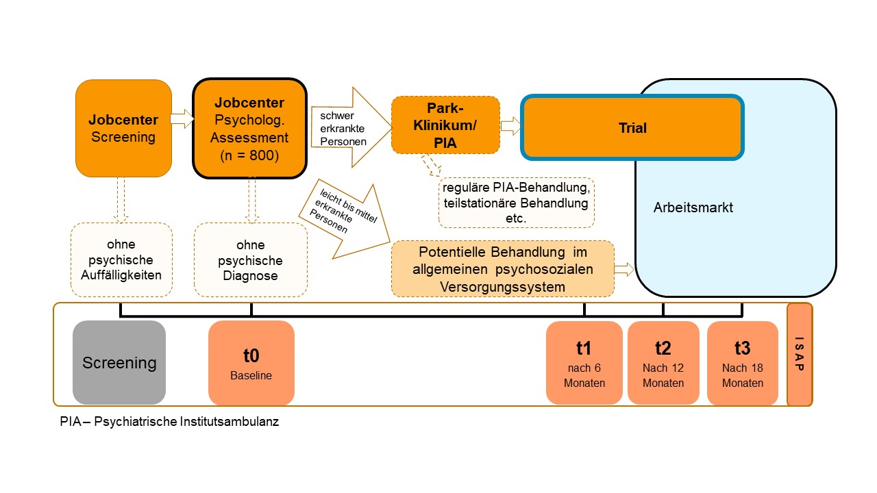 Abbildung LIPSY Homepage.jpg