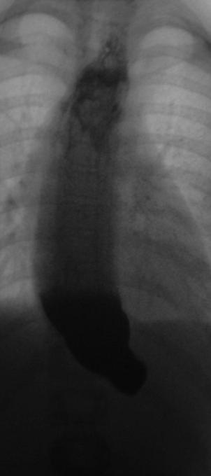 (Abb. 1.)