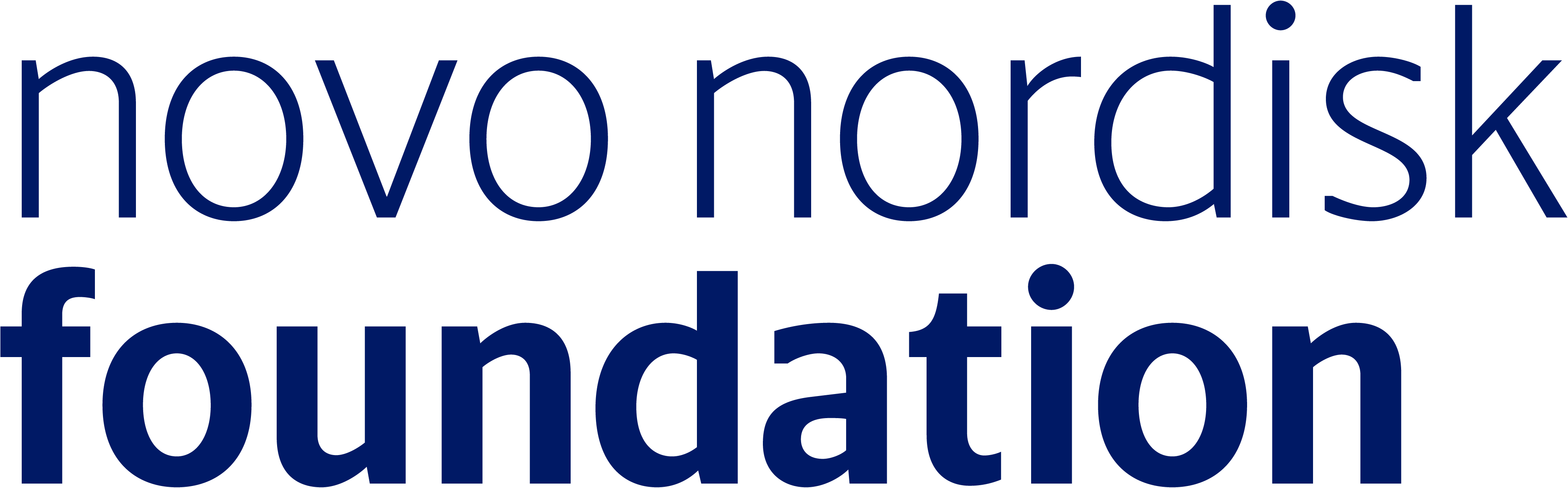 NNF-INT_logo_blue_RGB_solid.png