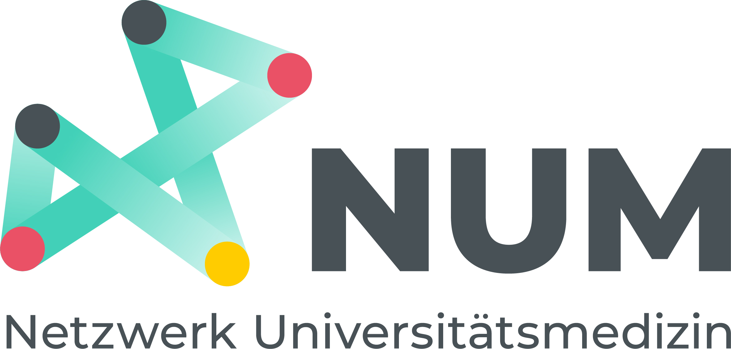 Logo Netzwerk Universitätsmedizin.jpg