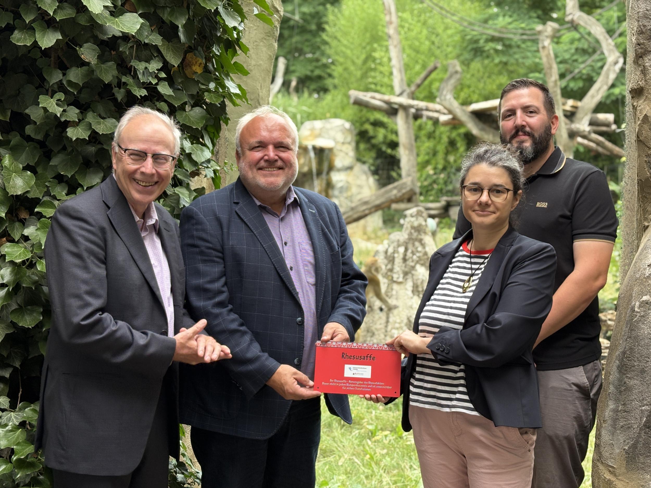 Die UKL-Blutbank übernimmt im Zoo Leipzig die Patenschaft für zwei Rhesusaffen. Bei der Übergabe dabei waren Prof. Christoph Josten, Medizinischer Vorstand des UKL, Zoo-Direktor Prof. Jörg Junhold, Malvina Bourgeois als stellv. Leiterin des Instituts für Transfusionsmedizin (ITM) am UKL sowie Alexander Müller vom ITM-Spendermanagement. (v.l.n.r.)