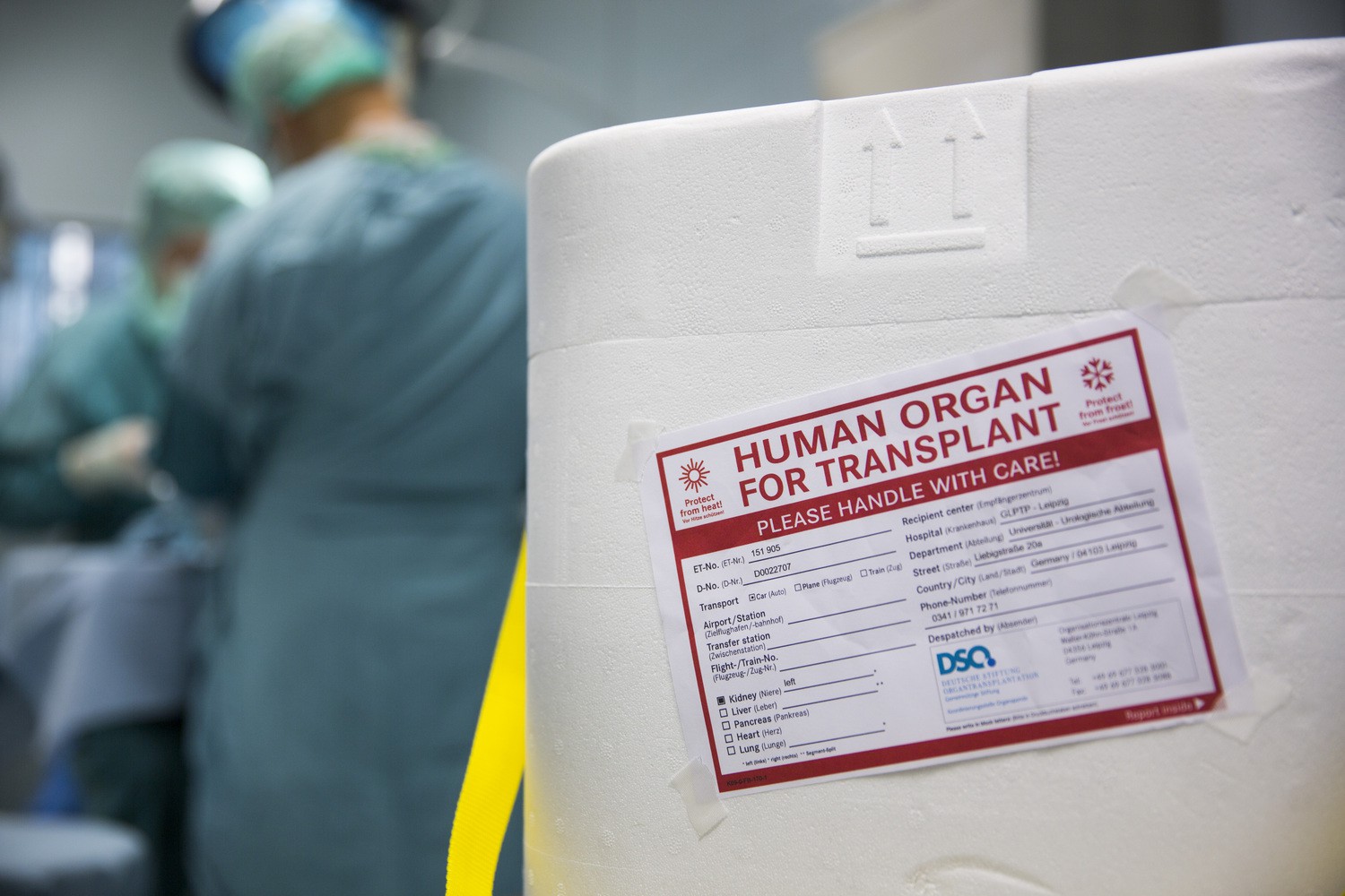 In solchen Behältern werden Organe für Transplantationen  befördert.