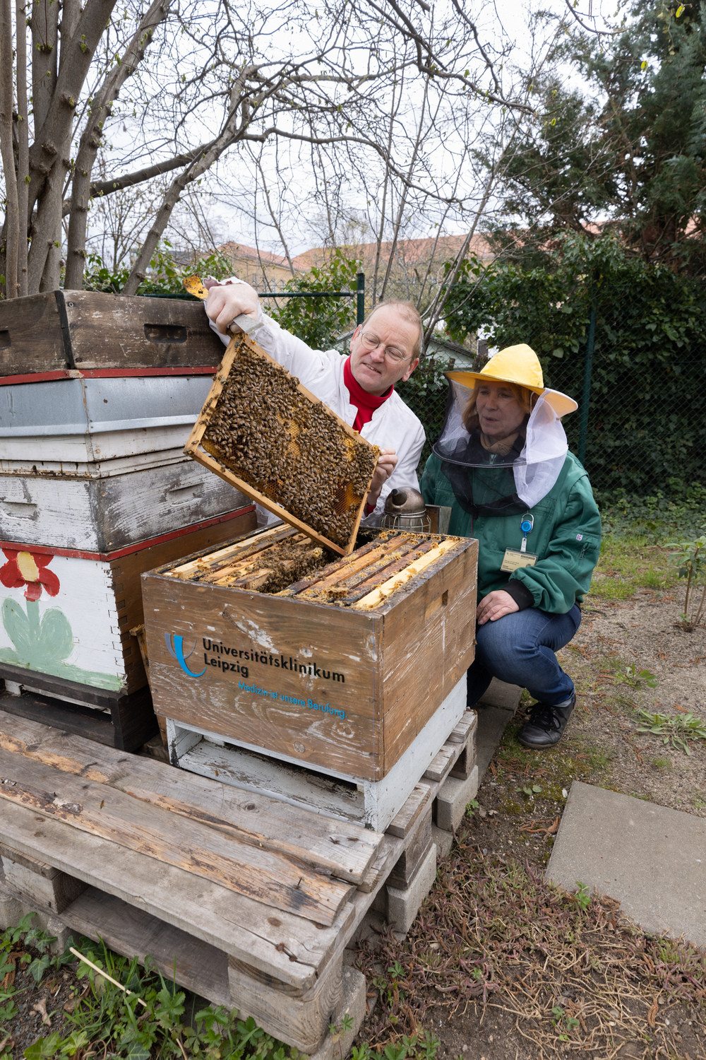 Dr. Michael Hardt (li.) betreut die Bienenstöcke. Er ist Leipziger Imker und Vorsitzender des Landesverbandes sächsischer Imker. Hardt stellt sicher, dass die Bienen gut versorgt sind. Er arbeitet dabei eng mit Bärbel Zimmermann (re.) zusammen, die die UKL-eigene Gärtnerei leitet.
