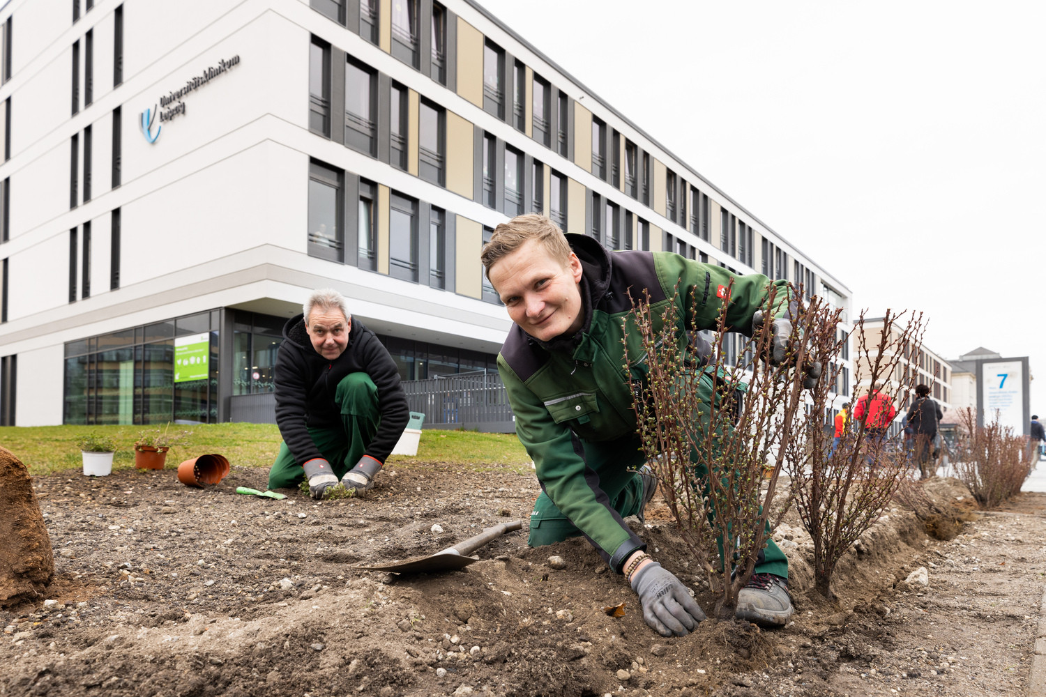 Vom Erlös des verkauften Honigs des ersten UKL-Jahrgangs haben die Gärtner:innen insektenfreundliche Sträucher, Gehölze, Stauden und Blumen wie Berberitze, Katzenminze, Königskerzen oder Staudenastern angeschafft. Frank Raschdorf (vorn) und sein Kollege Jens Klose pflanzen sie auf der Blühfläche an Haus 7 ein.