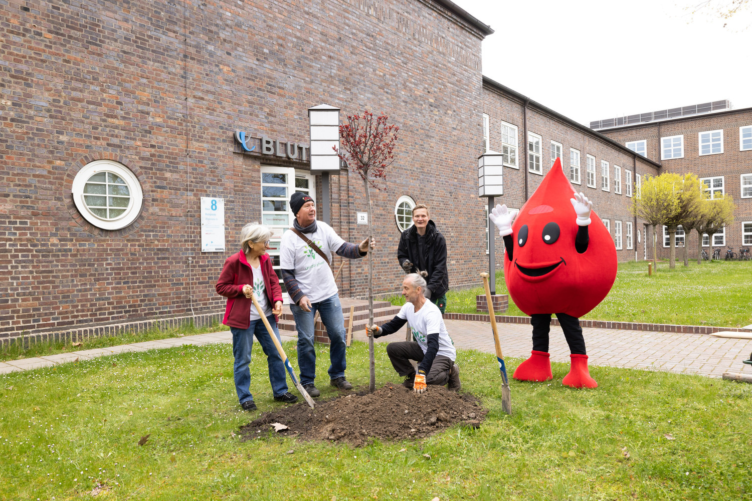Drei Vertreter:innen des Baumpflanzprojektes LEIPZIG pflanzt sowie Mitarbeiter der UKL-Gärtnerei pflanzten anlässlich des internationalen Tag des Baumes eine Blutpflaume vor der UKL-Blutbank.