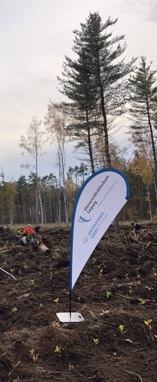 4000 Setzlinge von "Kraft-Bäumen" wurden am 18.November als Grundstock für den "Wald der strahlenden Hoffnung" gesetzt.