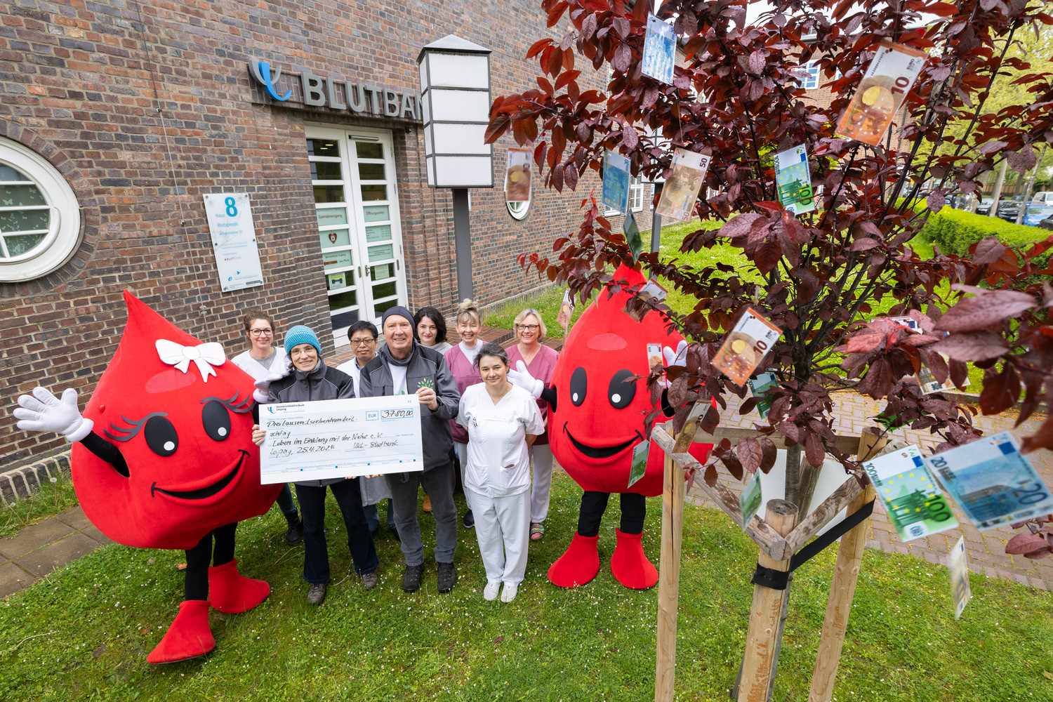 "Blutbert" (1.v.r.) und "Rhesi" (1.v.l.), die beiden Tropfen-Maskottchen der UKL-Blutbank, überreichten gemeinsam mit einigen Kolleg:innen den Umweltschützern Matthias Ludwig und Anne Wessner vom Baumpflanzprojekt "Leipzig pflanzt" eine neue Spendensumme i.H.v. fast 4.000 Euro.