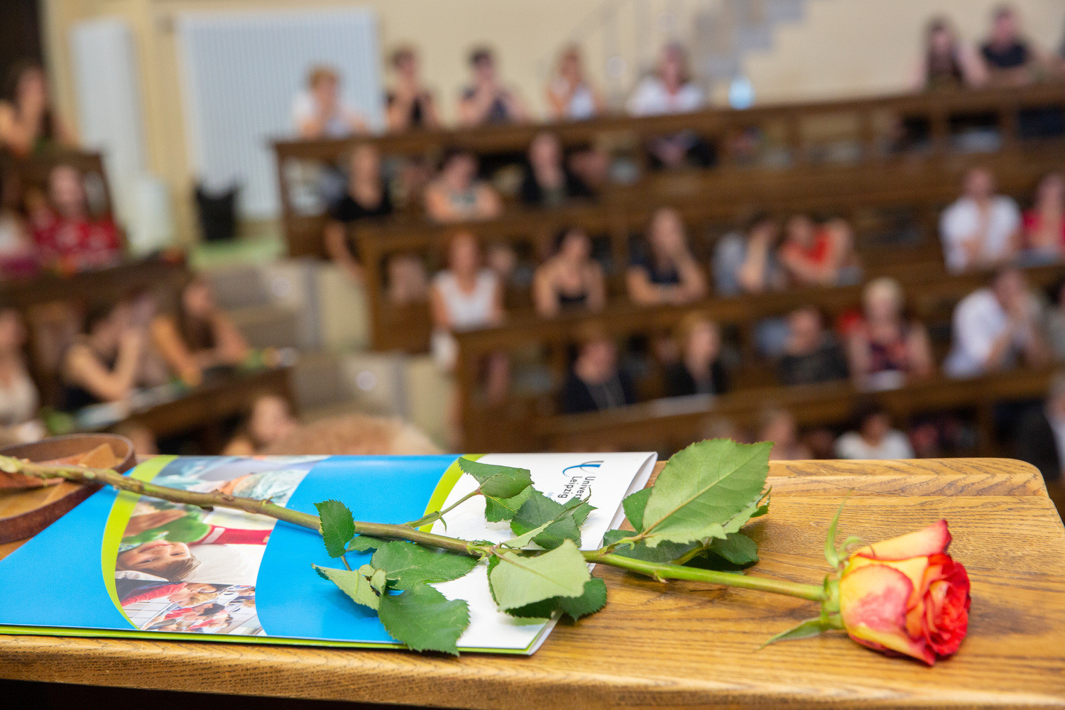 In der letzten Augustwoche erhalten 174 Absolvent:innen der MBFS ihre Abschlusszeugnisse und starten damit ins Berufsleben.