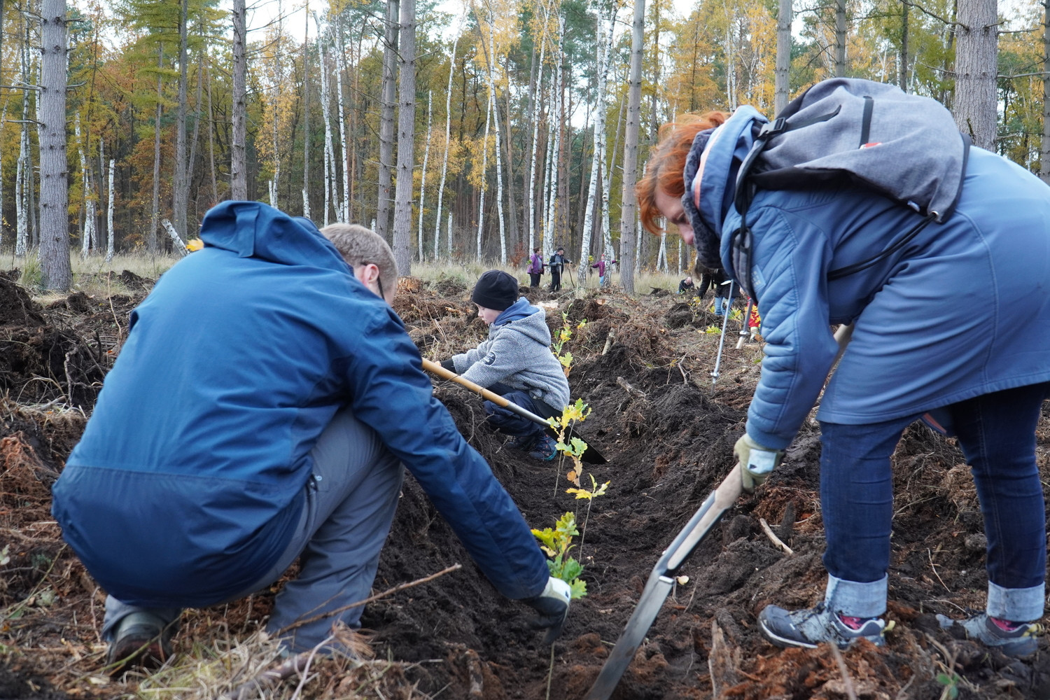 Die "Kraft-Bäume" im neu angelegten UKL-Wald stehen für individuelle Hoffnungen im Kampf gegen Krebs und universelle Symbole für Kraft und Nachhaltigkeit.