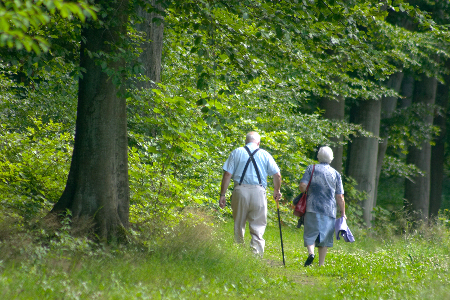 Körperliche Aktivität verringert das Risiko, an Demenz zu erkranken..