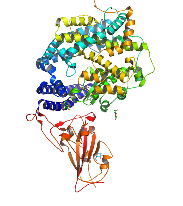 Das rote Protein sind ein paar Tausend Atome vereinfacht dargestellt. Es stellt nur einen Teil des Oberflächenproteins dar, der den vielfarbigen Rezeptor des Menschen angreift.