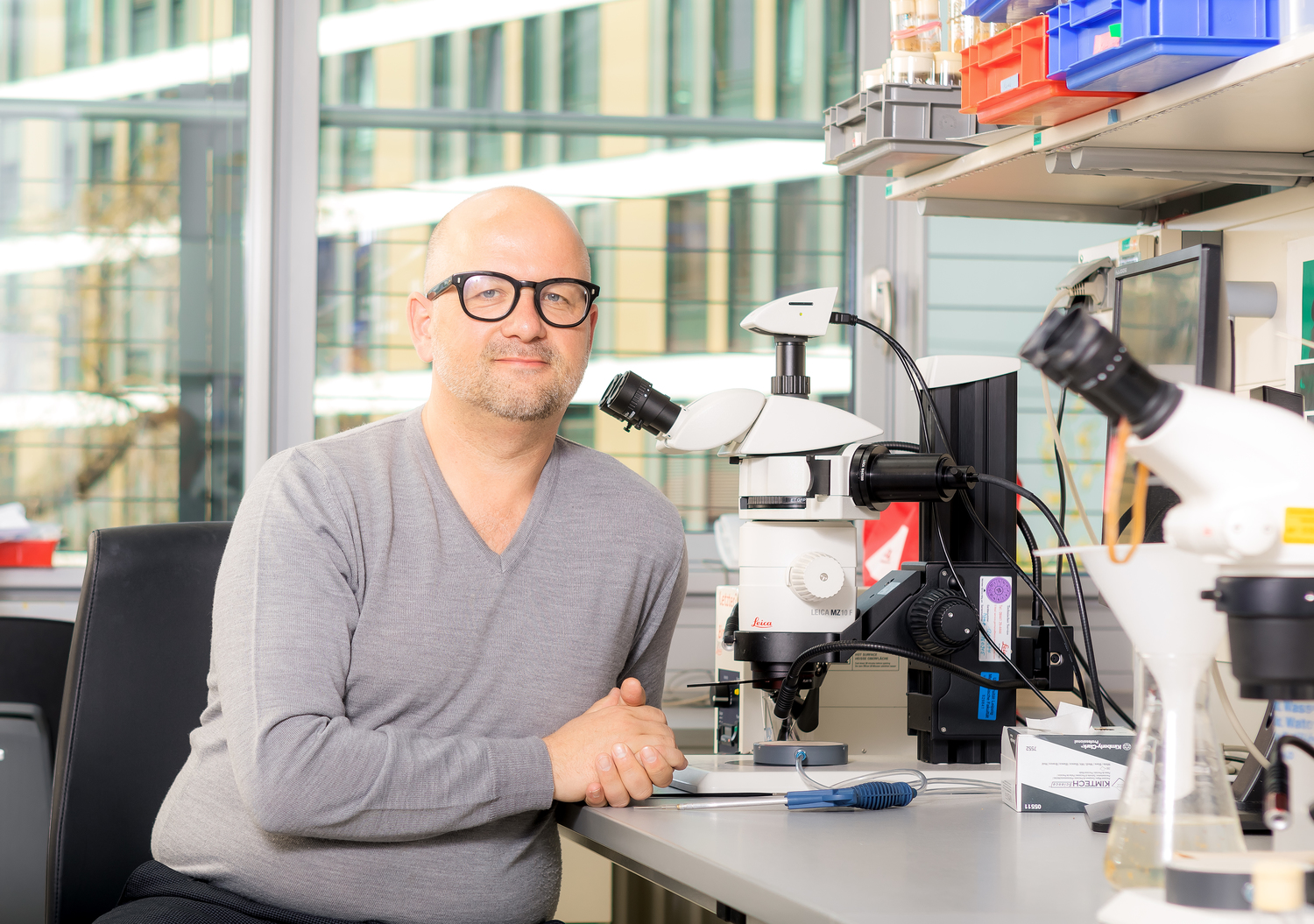 Prof. Tobias Langenhan in seinem Labor am Rudolf-Schönheimer-Institut für Biochemie.