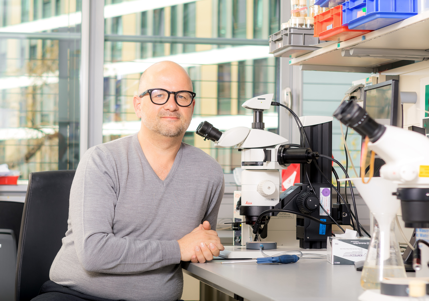 Prof. Tobias Langenhan.