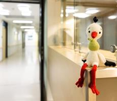 14.01.2026 <br> Neues aus der Geburtsmedizin