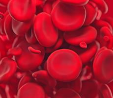 17.-18.04.2026 <br> 8. Interdisziplinäres Curriculum Gerinnung