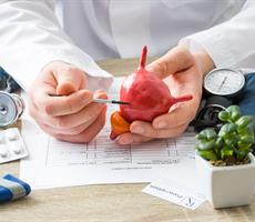 18.04.2026 <br> Kontinenztag 2026