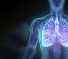 21.10.2023 <br> 29. Pneumologisches Symposium