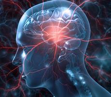10.10.2025 <br> Klinische Neurophysiologie und Nerven/Muskel-Ultraschall - Seminar
