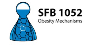 SFB_logo.jpg